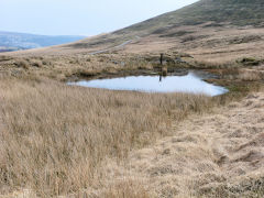 
Milfraen Colliery reservoir, Blaenavon, March 2011